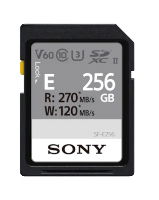 256GB