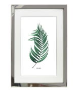 Evergreen Modern  Frame Single