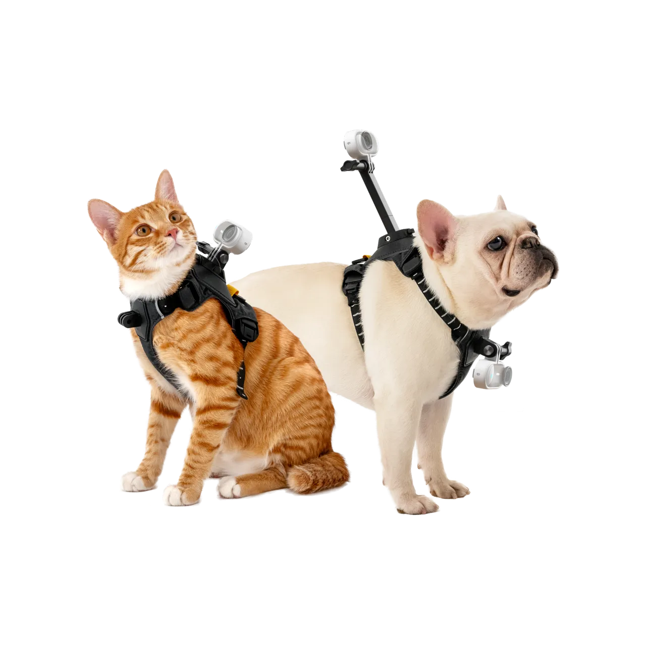 Insta360 Pet Harness Mount Size S