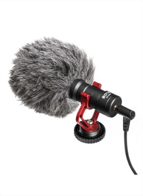 mic