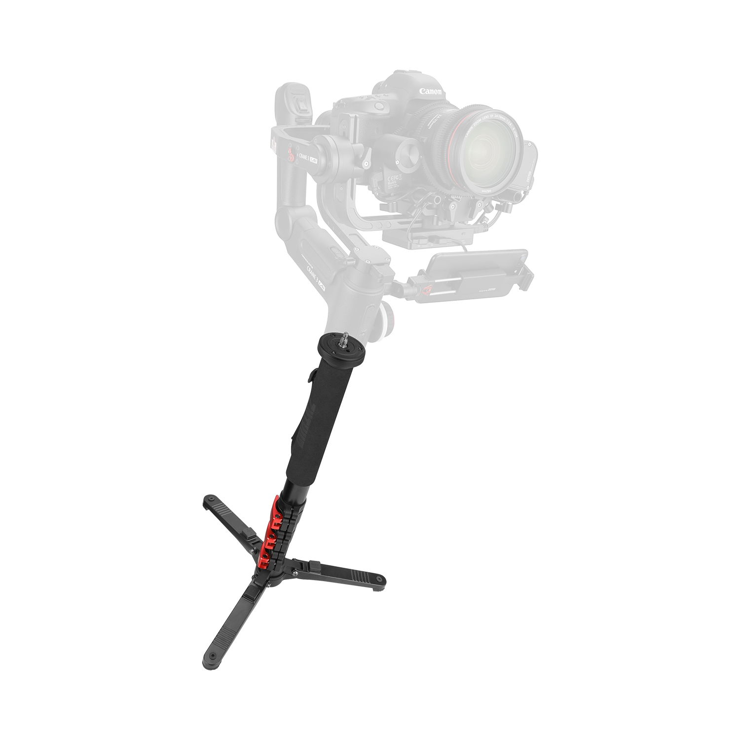 DB2A0835 (2)
