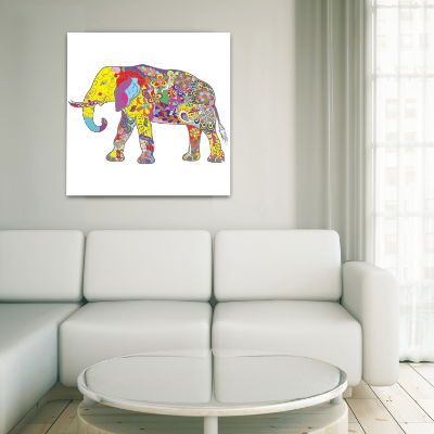 Amazon Lifestyle 1 single Elephant