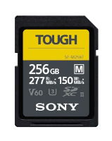 256GB